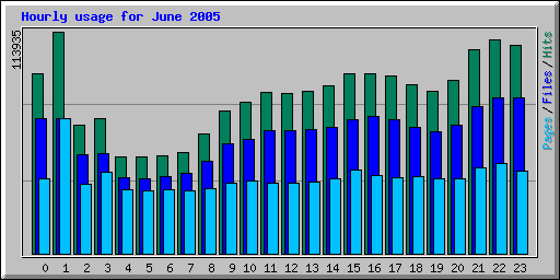 Hourly usage for June 2005